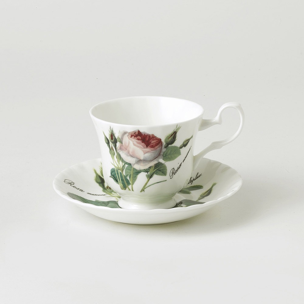 ROY KIRKHAM-0-0-TAZA TE CON PLATILLO- TODOS