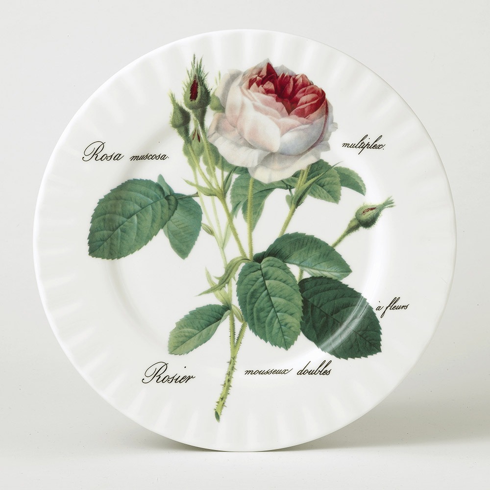 ROY KIRKHAM-0-27 cm-PLATO PLANO-TODOS