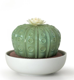 LLADRO-0-0-CACTUS ASTROPHYTUM