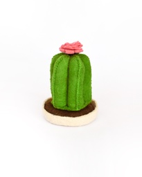 [207612] EPRUM-0-0-MACETA CACTUS ARMABLE